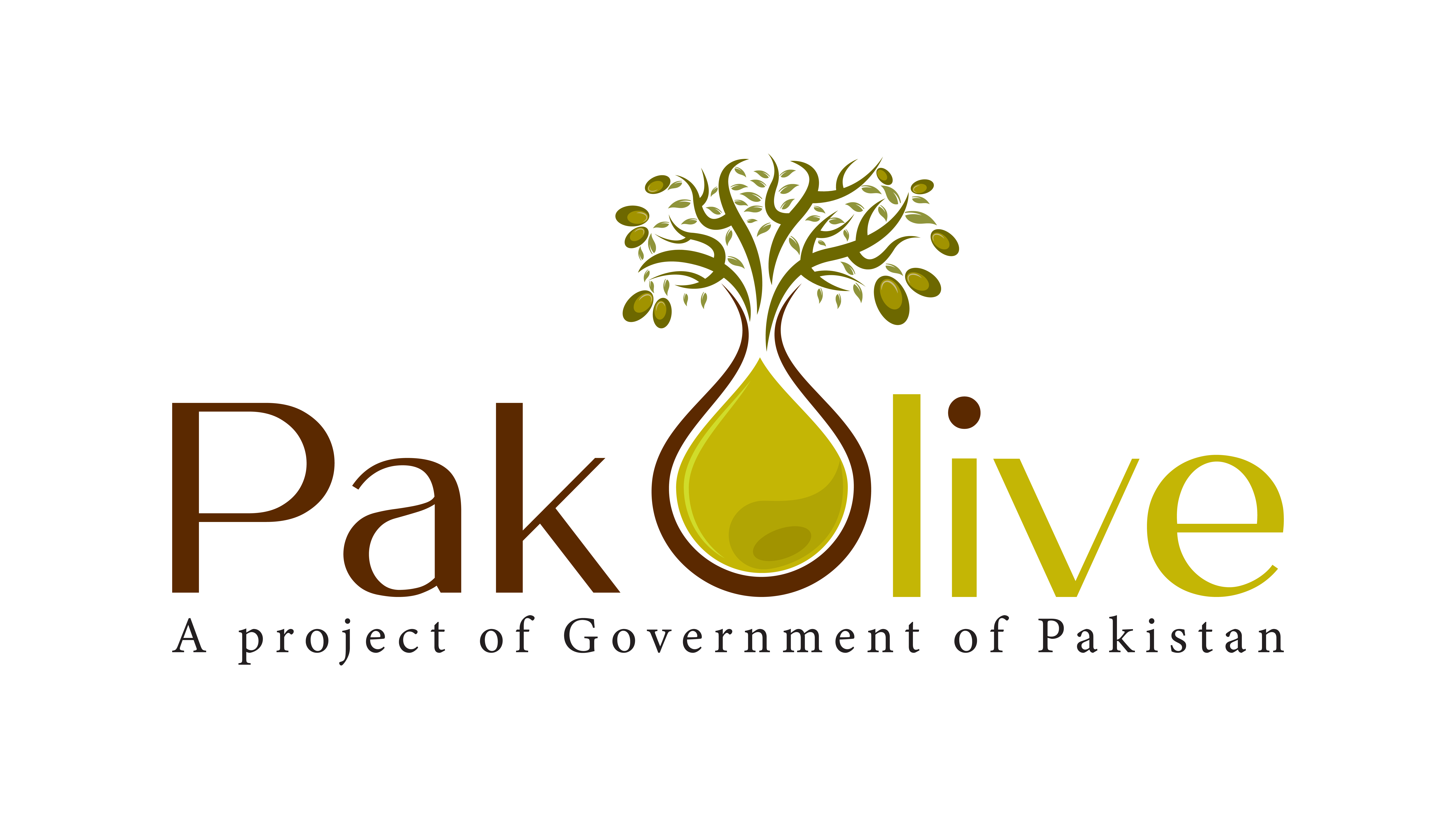 our-teams-pakolive