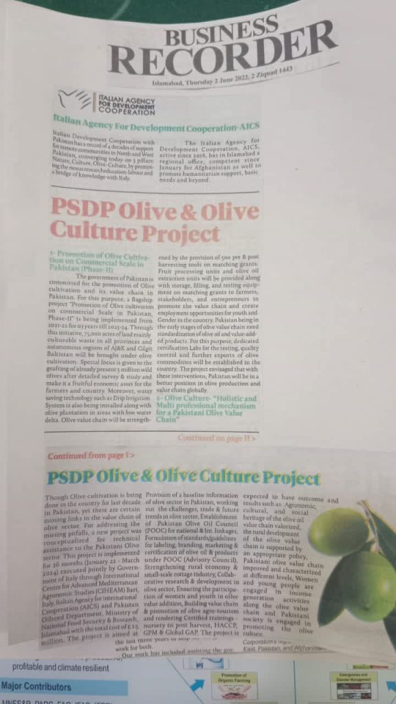 PSDP Olive and Culture Project