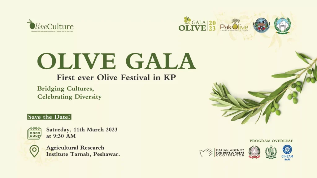 KP Olive Festival