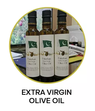 Extra Virgin Olive Oil