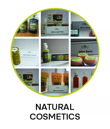 Natural Cosmetics
