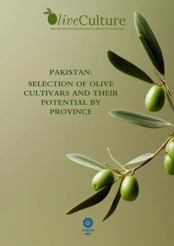 Pakistan Selection of Olive Cultivars and their Potential by Provinces
