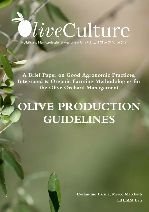 Olive Production Guidelines