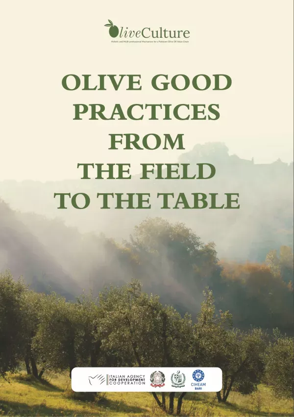 Olive Good Practices From The Field To Table Manual