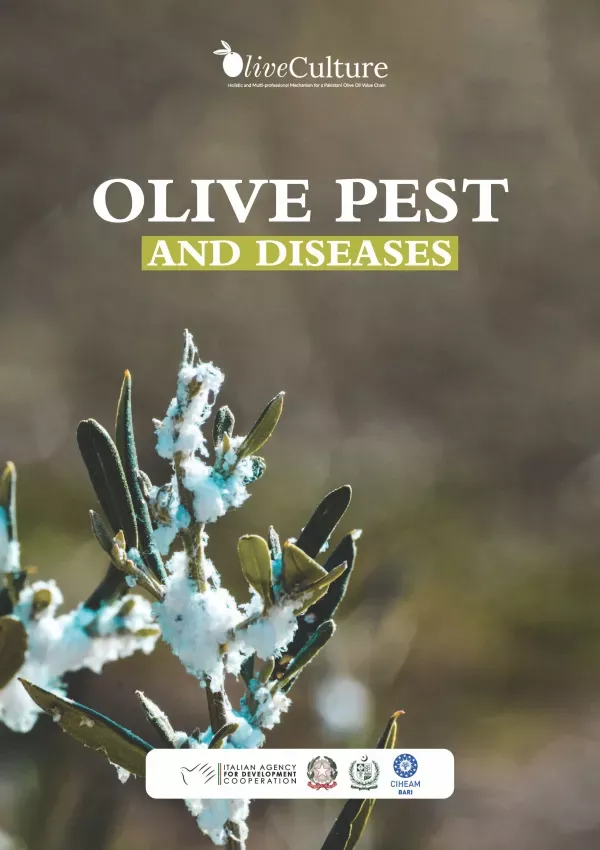 Pest & Diseases Manual