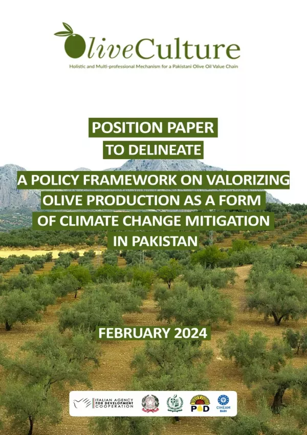 Position Paper