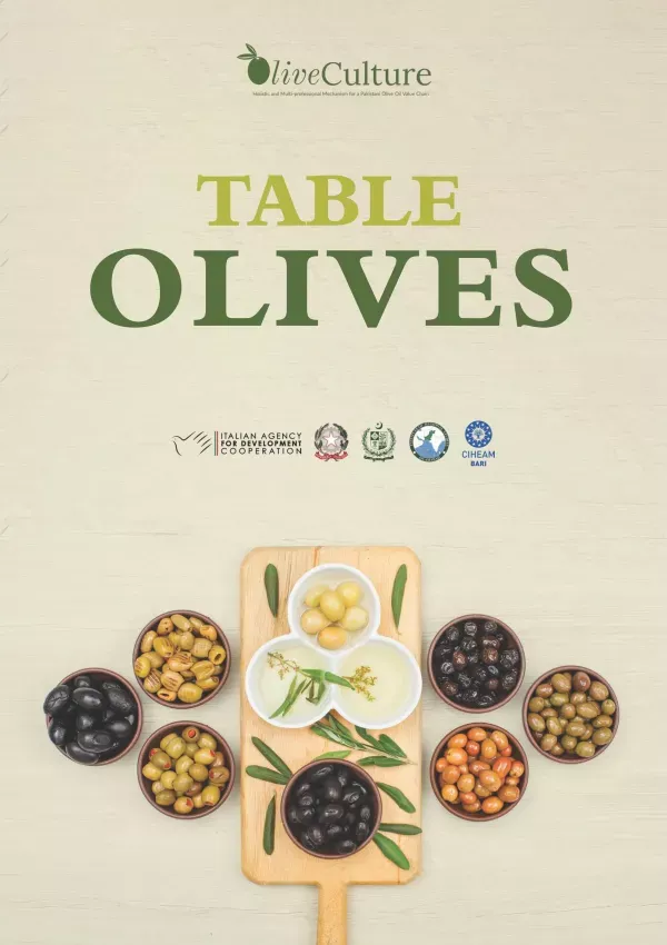 Table Olive (English & Urdu)