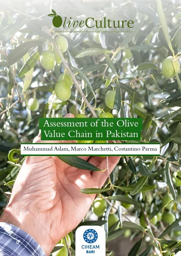 Assessment of The Olive Value Chain in Pakistan