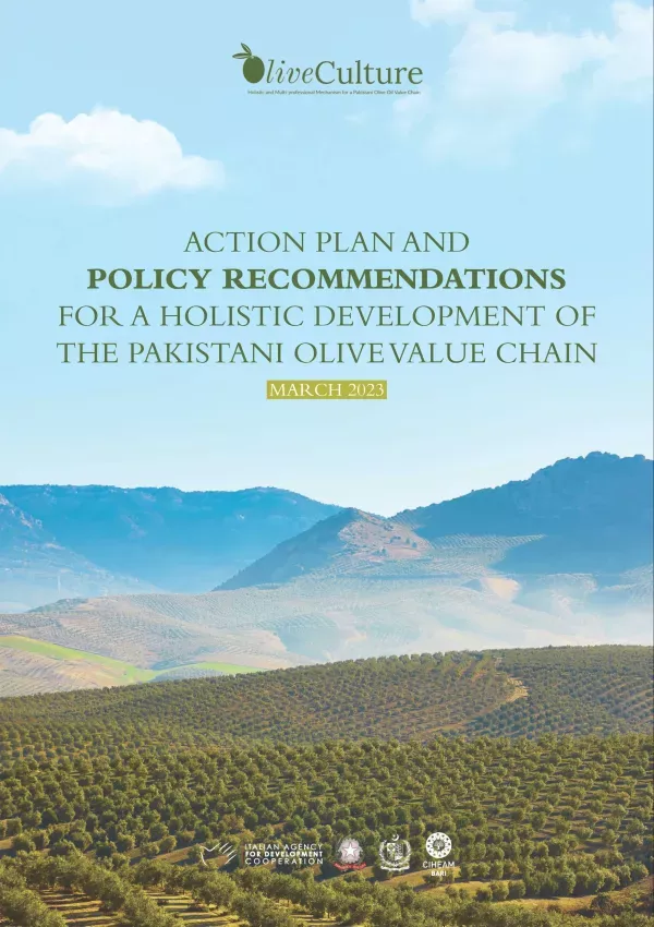Action Plan & Policy Recommendations