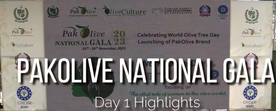 Day-1 Highlights Pak Olive National Gala 2023.