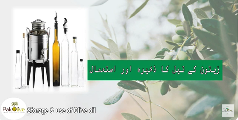 SOPs for Storage and use of olive.