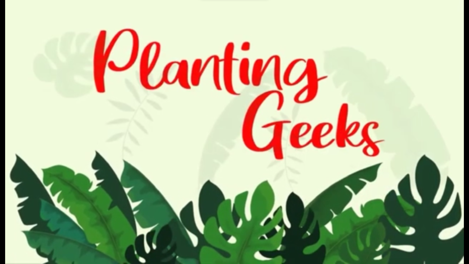 Olive Planting Geeks