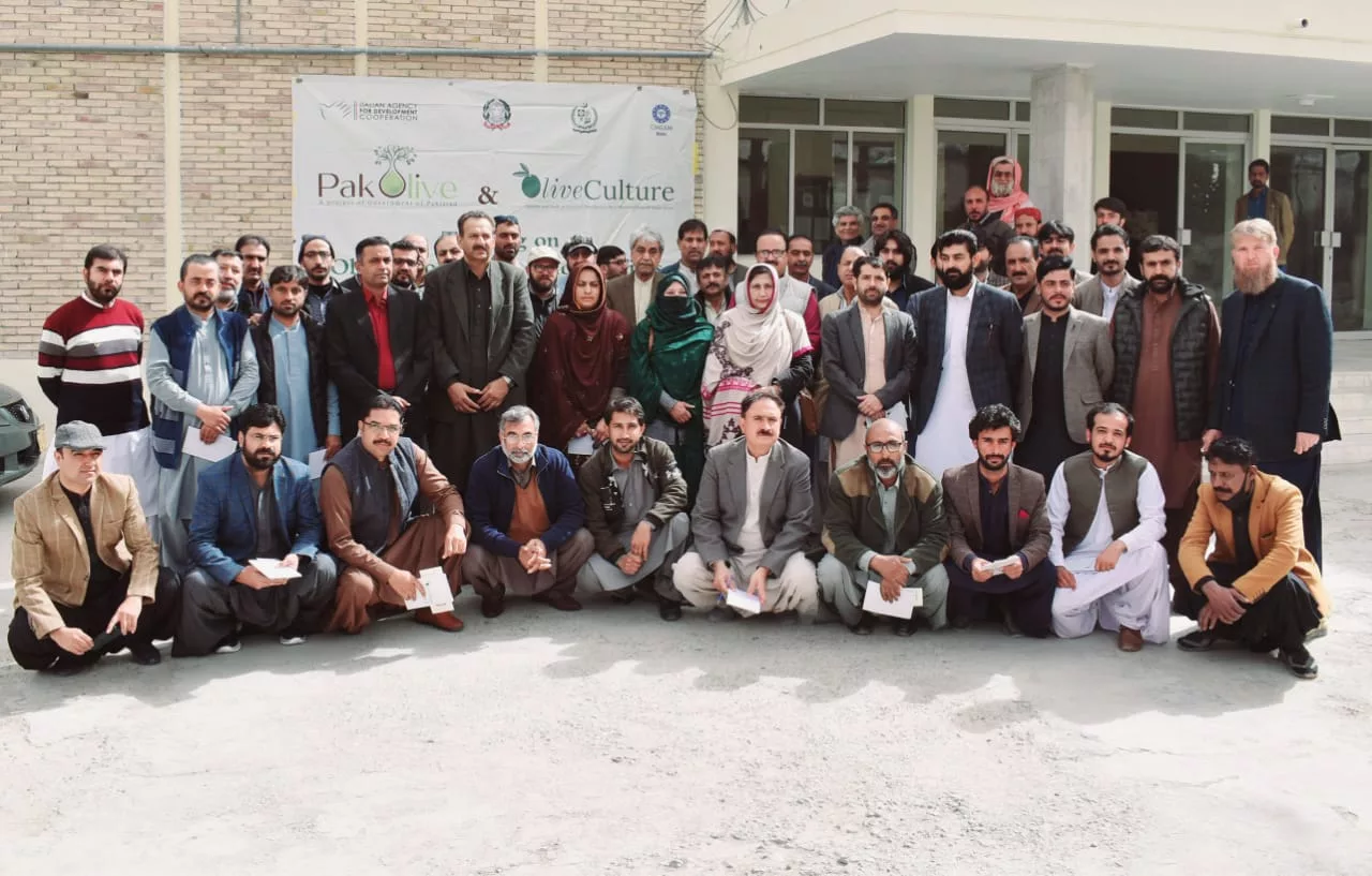 Professional Training on Olive Orchard Management at BARDC Quetta on 09 February, 2023.