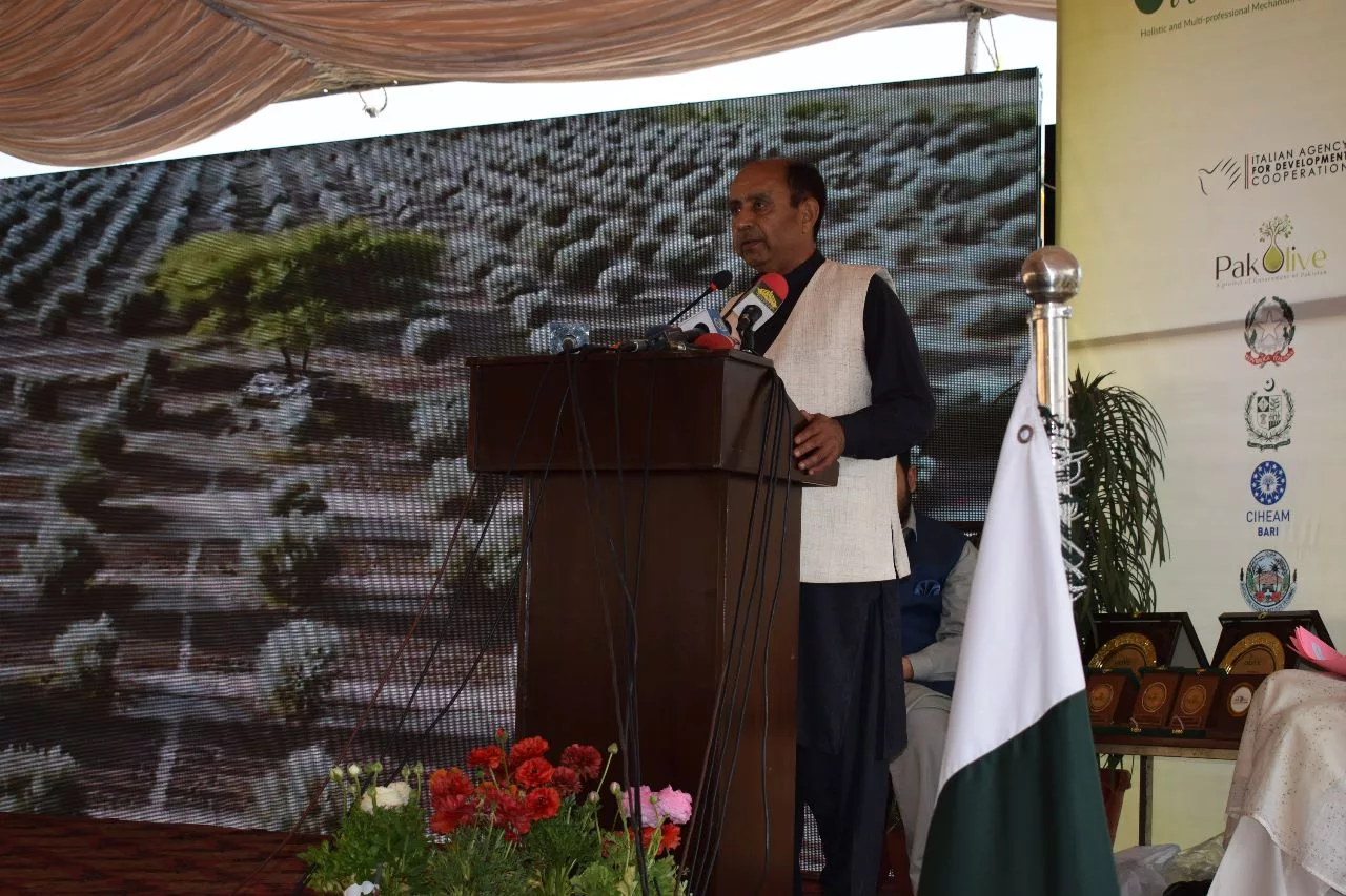 First Ever Olive Gala in Khyber Pakhtunkhwa