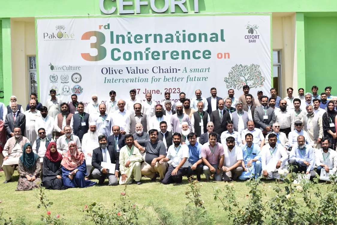 3rd International Olive Conference at BARI Chakwal on 07 June, 2023