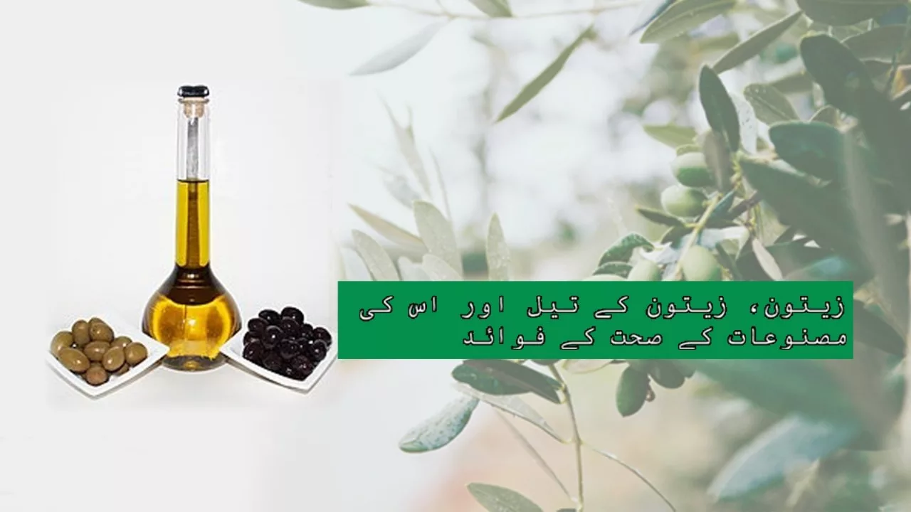 Explore the Nutritional Power of Olives & Olive Oil