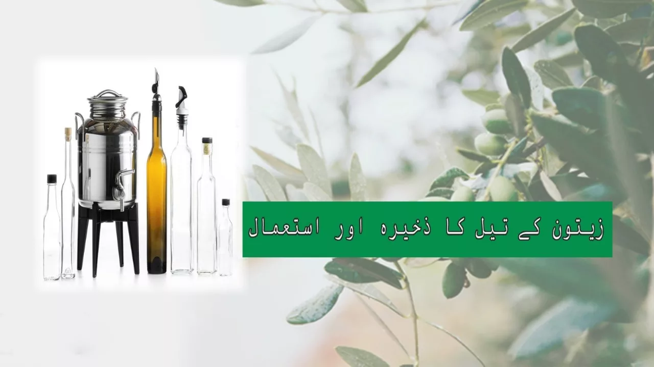 Proper Techniques For Olive Oil Storage & Use
