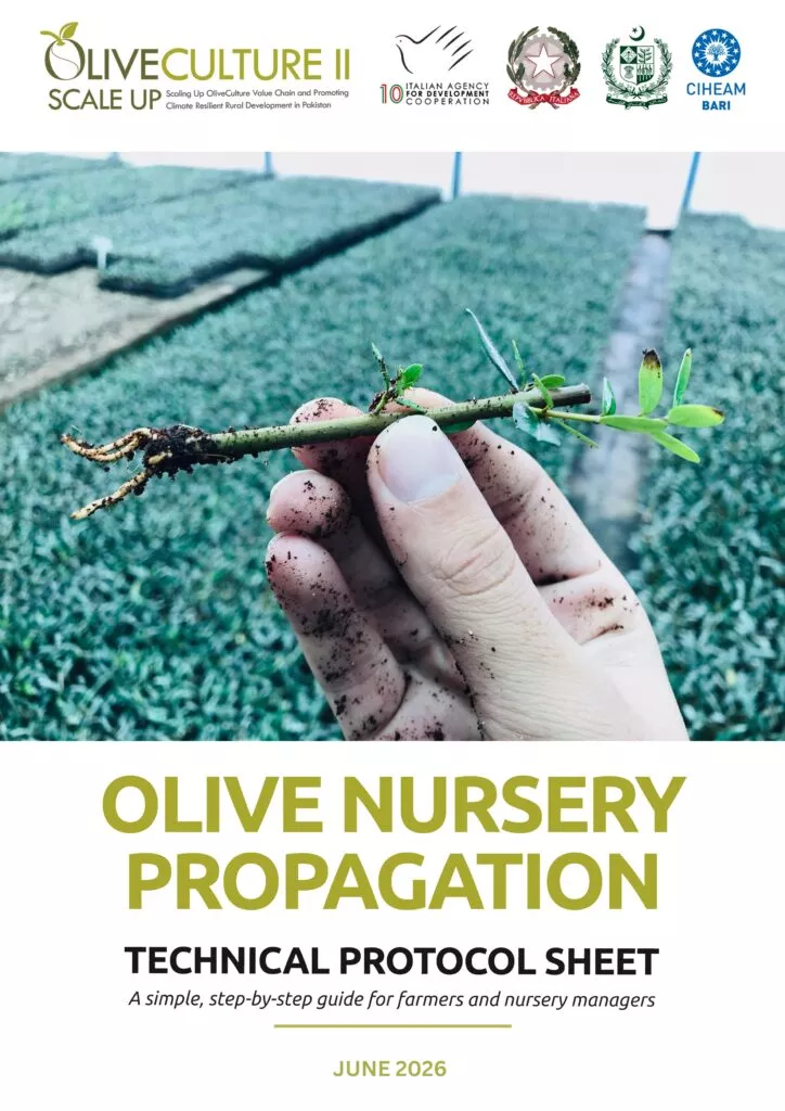 Olive Nursery Guide (English & Urdu)