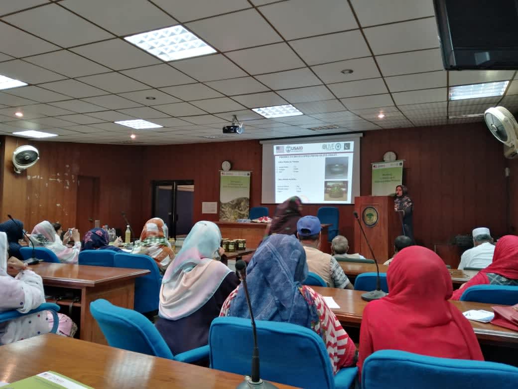 Olive trainings(2020-02-05)