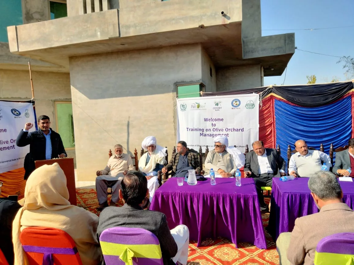 CEFORT Organized training on olive orchard management organized on 27-12-2022