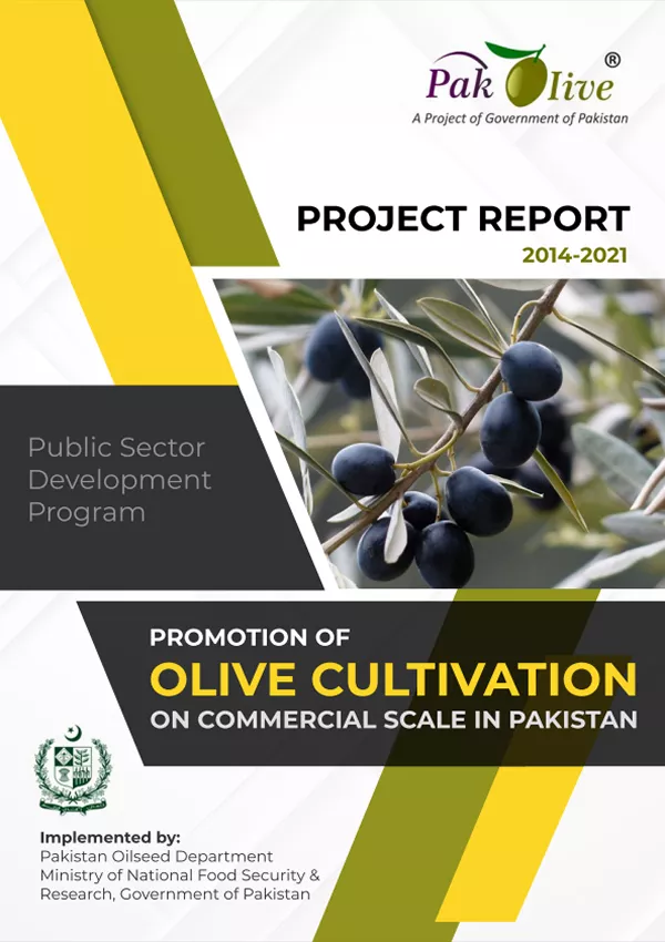 Olive Project report 2014-21