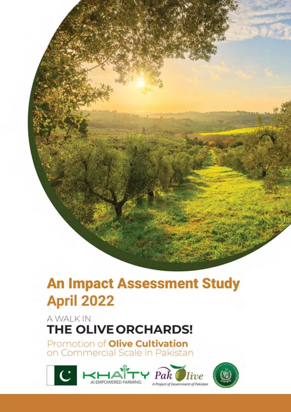 Impact Assessment Report 2021