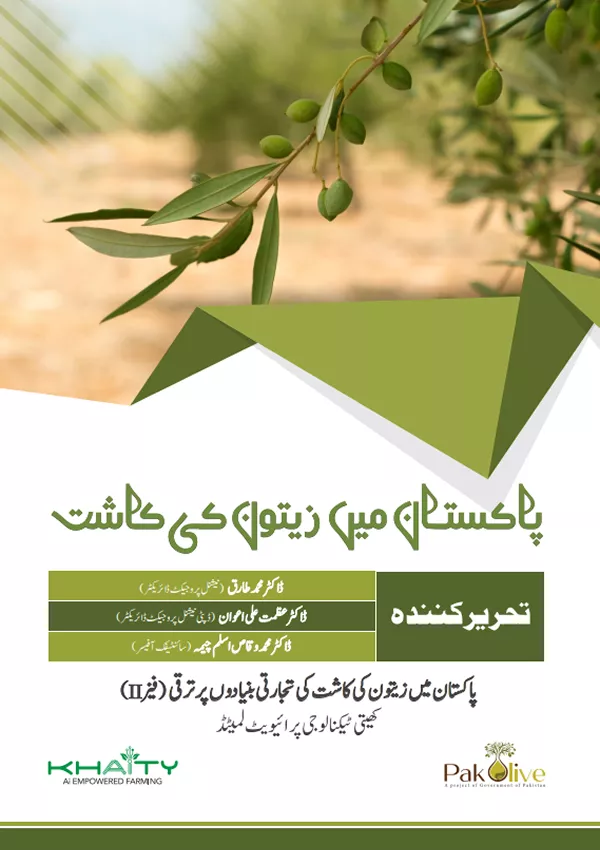 Olive Cultivation in Pakistan-a comprehensive production technology