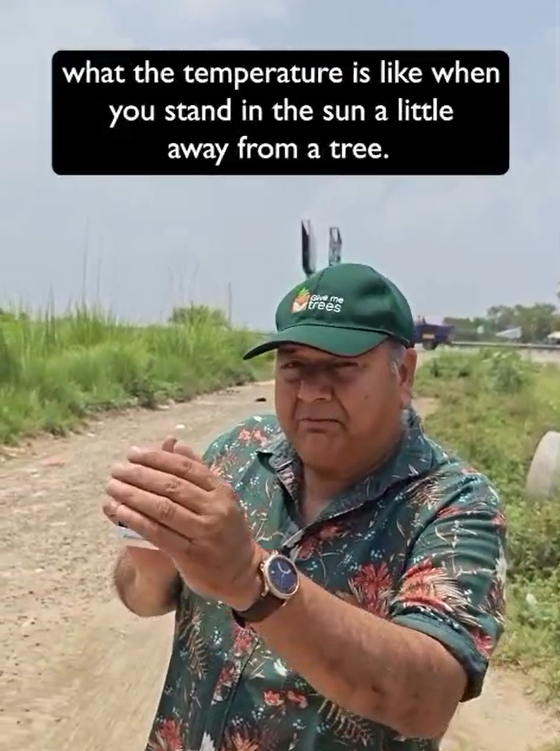 Why Trees are important