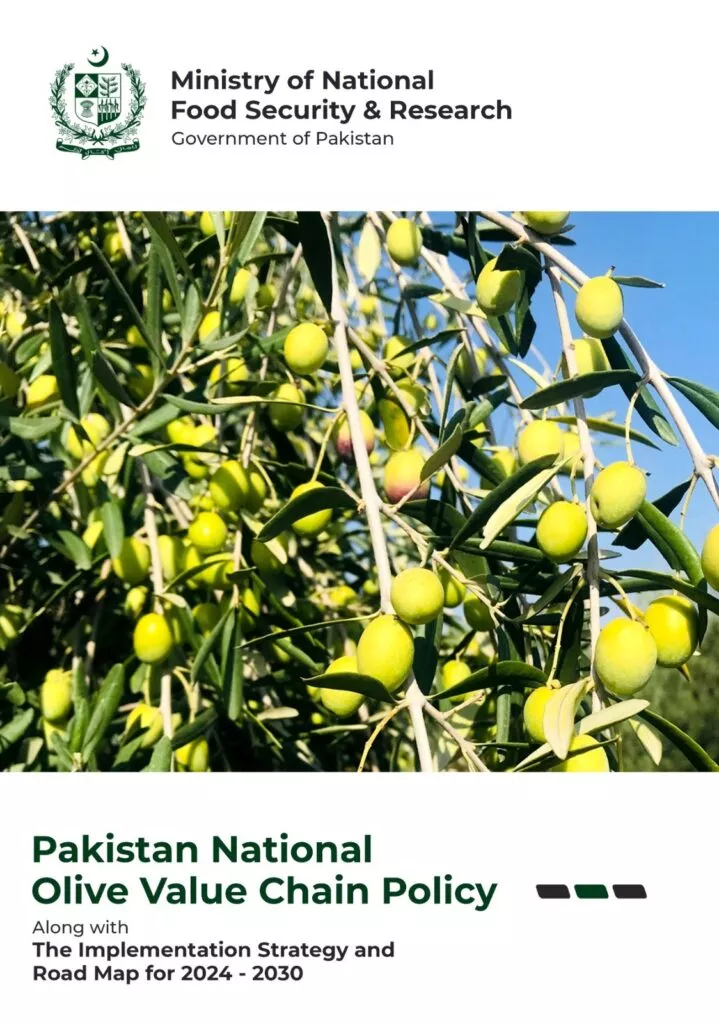 Pakistan National Olive Value Chain Policy