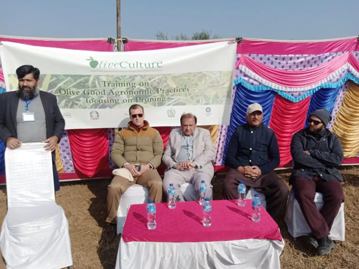 Olive Culture Training at Khunda under CEFORT and PSDP